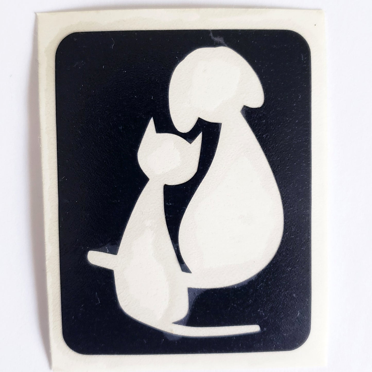 Cat & Dog