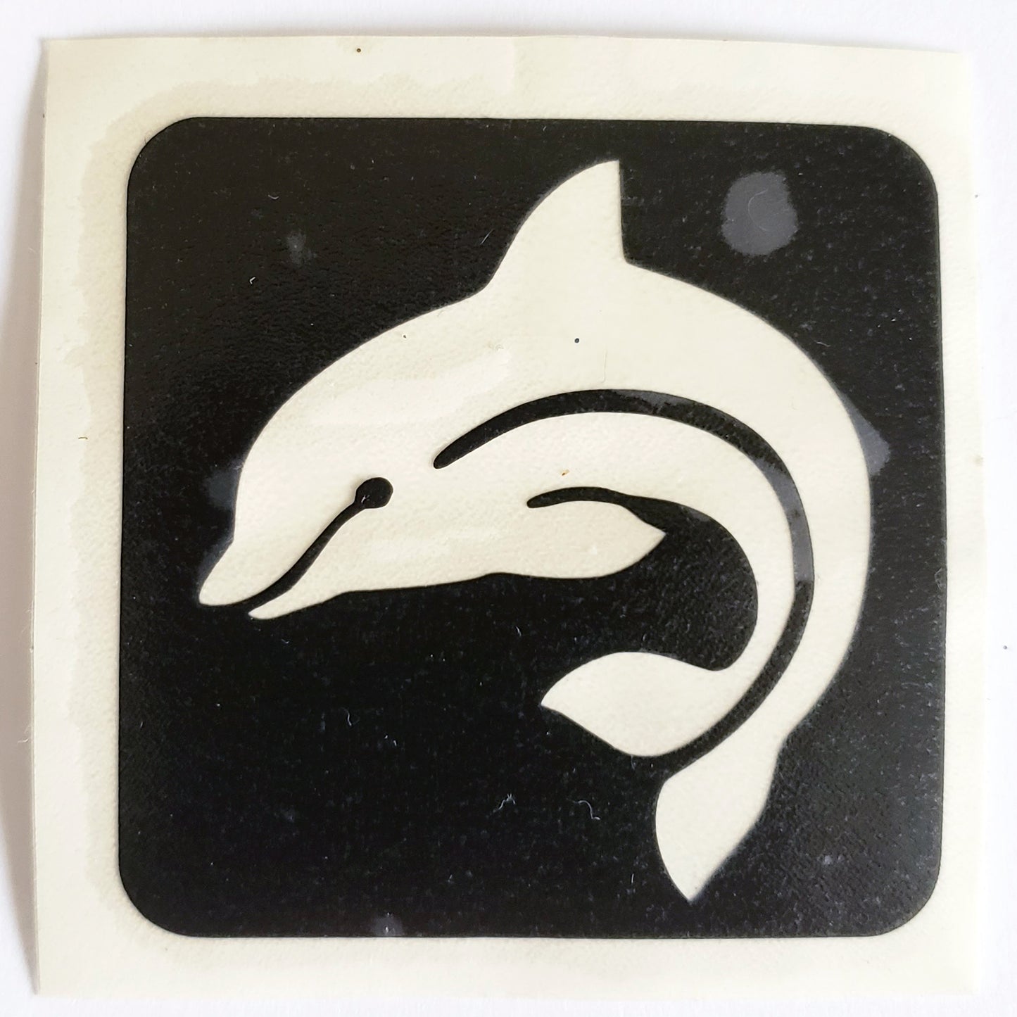 Dolphin 2