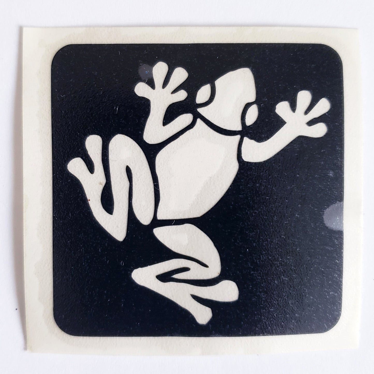 Tree Frog