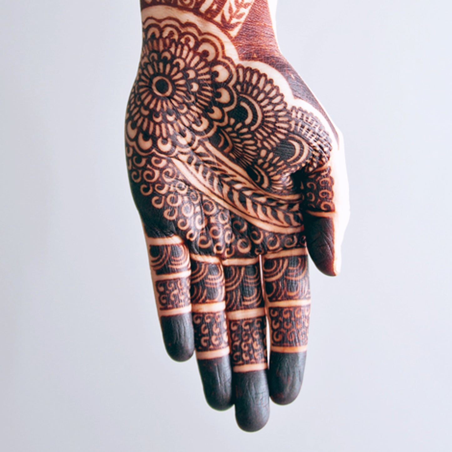 Large Henna Body Art Kit