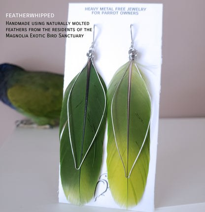 Custom Feather Earrings (with your feathers)