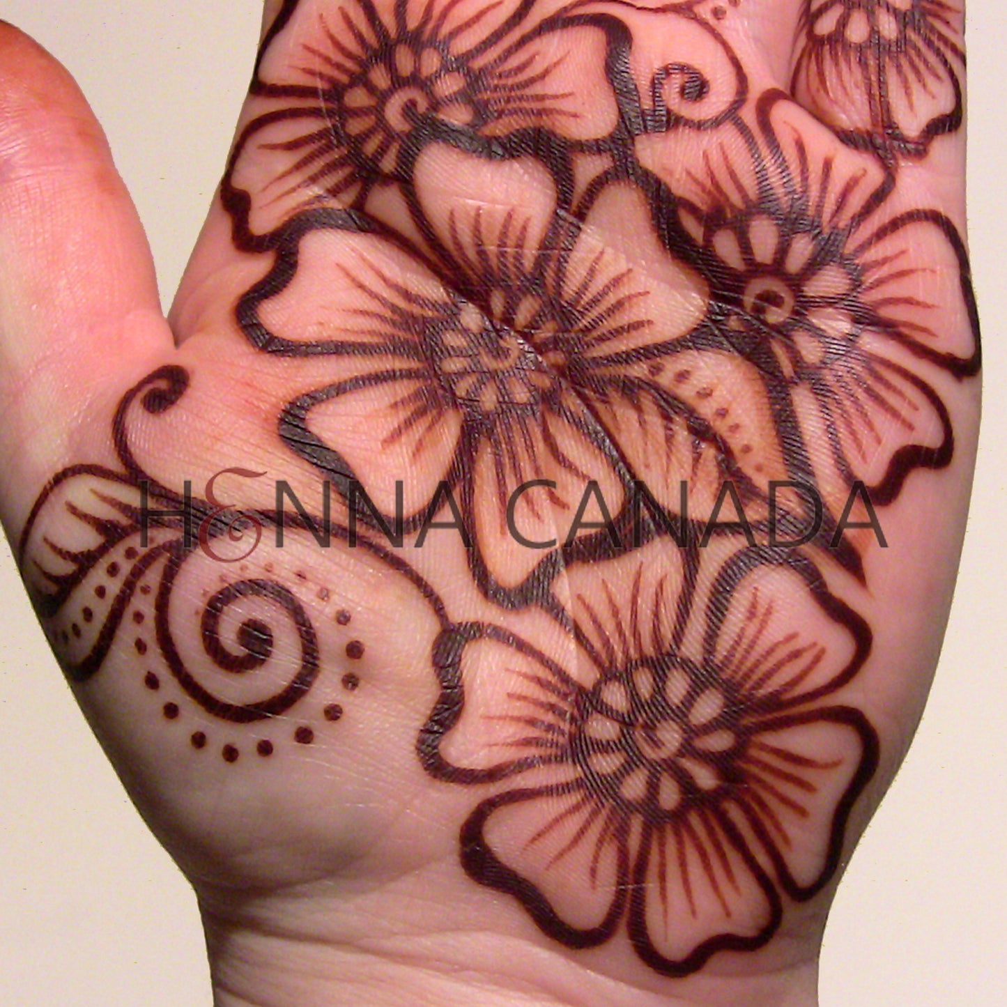 Sample Henna Body Art Kit