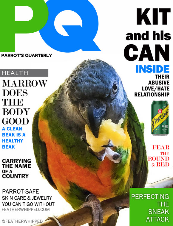 FeatherWhipped PQ Magazine Issue 1