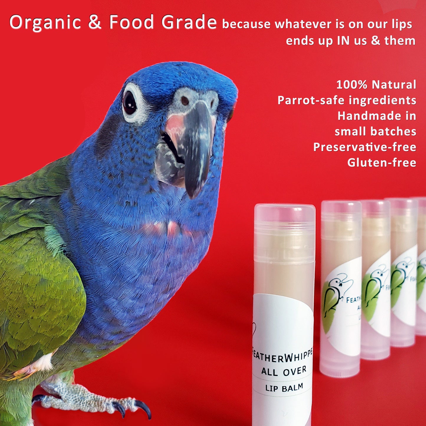 Organic Lip Balm