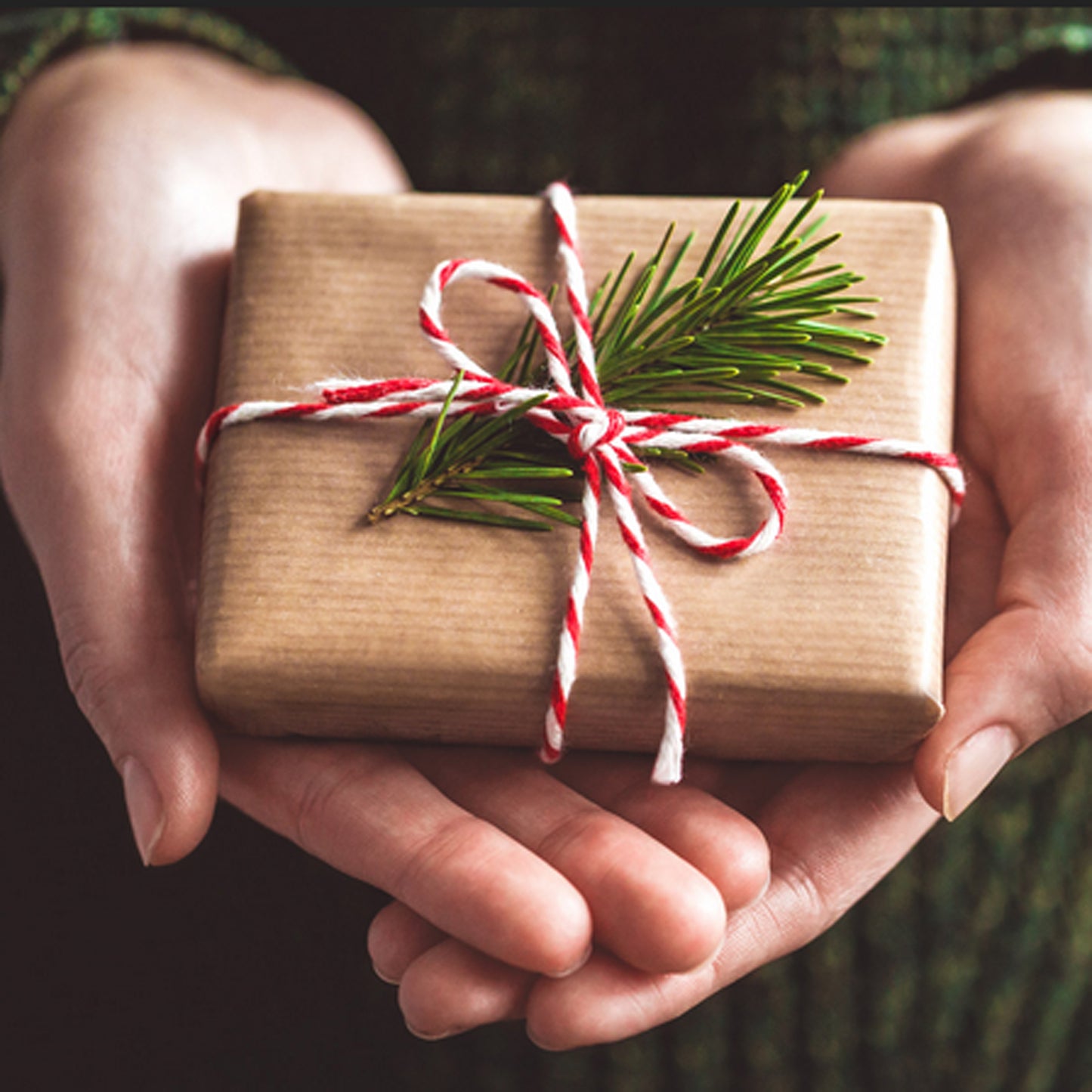 Second Hand Sweaters for Nathalie