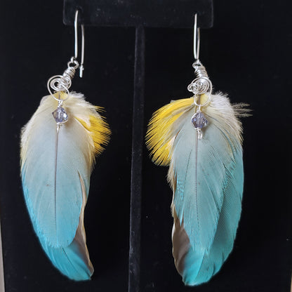 Custom Feather Earrings (with your feathers)