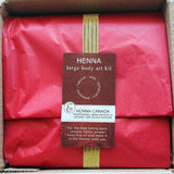Large Henna Body Art Kit